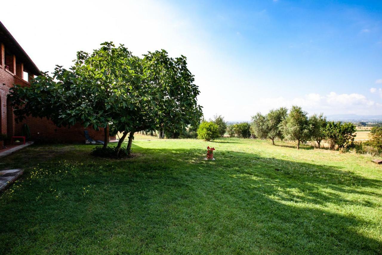 La Casa In Toscana 哥尔顿 外观 照片